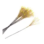 Cosmicp 30cm Picks W Beads As2+